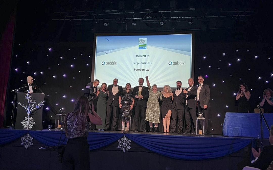 Pyroban wins ‘Large Business of the Year’ Award